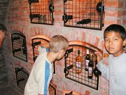PICT1043 (web)